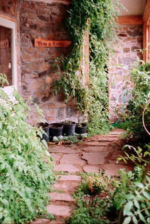 Pathway in stone home greenhouse.