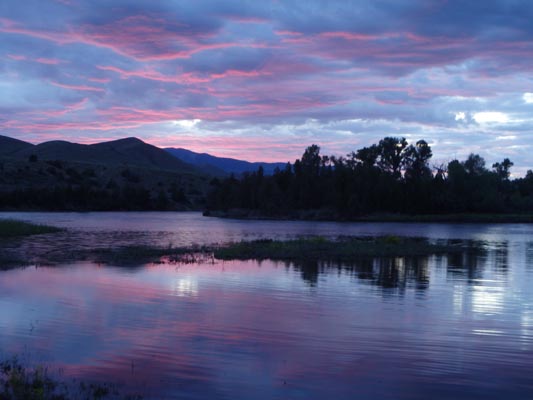 Pink-lavender sunset.