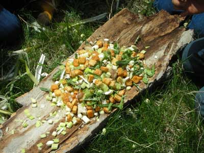 Wild harvest salad served on bark.