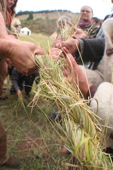 Close-up of large grass rope.