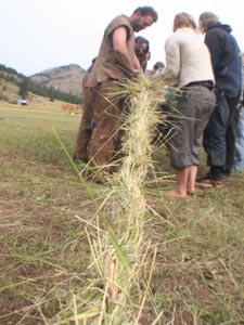 Grass rope in the making.