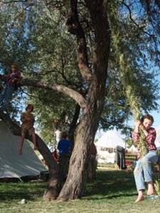 Grass rope swing.