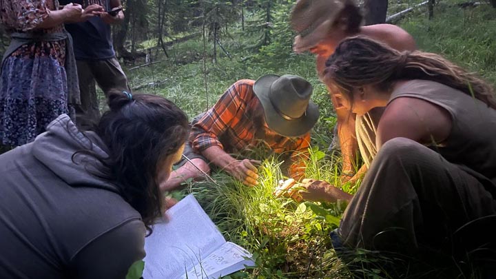 Botany and Foraging Intensive.