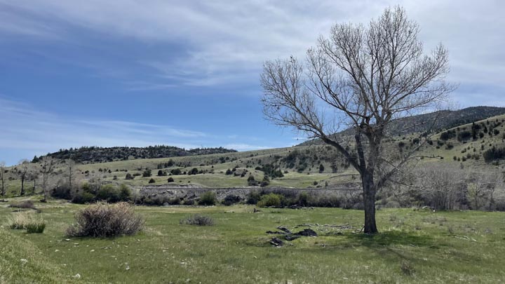 Otter Landing Campsite on the Jefferson River Canoe Trail.