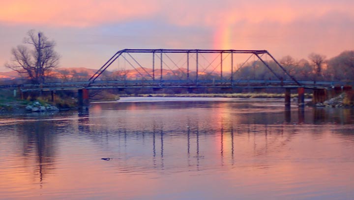 Overlooking the yard.