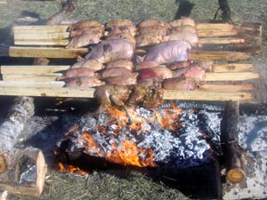 Roasting duck over fire pit coals.