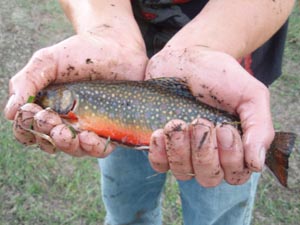 Trout cradled in hands.